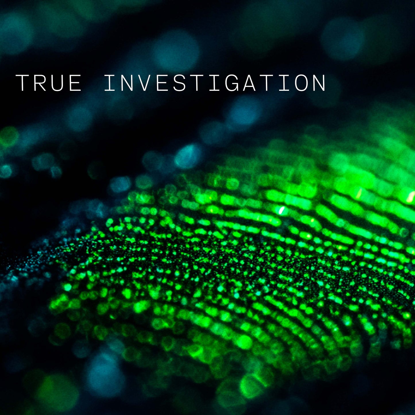 True Investigation