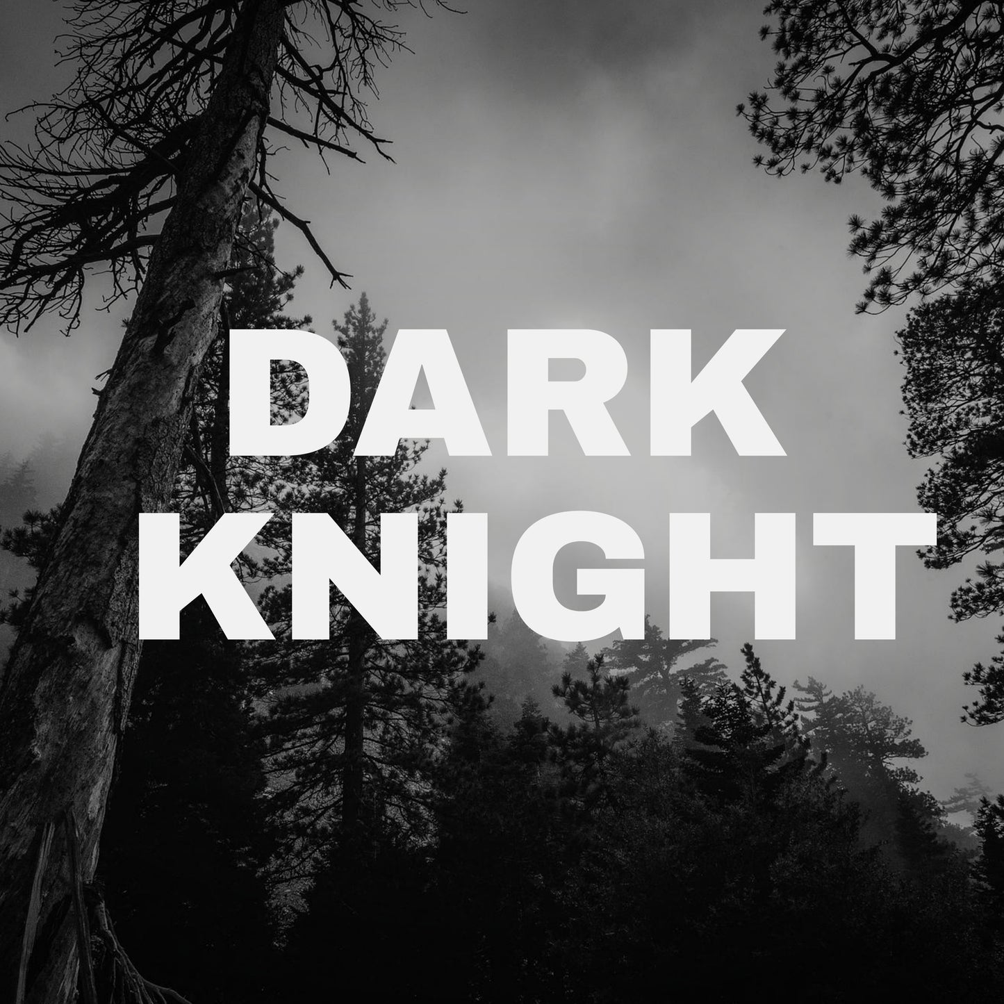Dark Knight