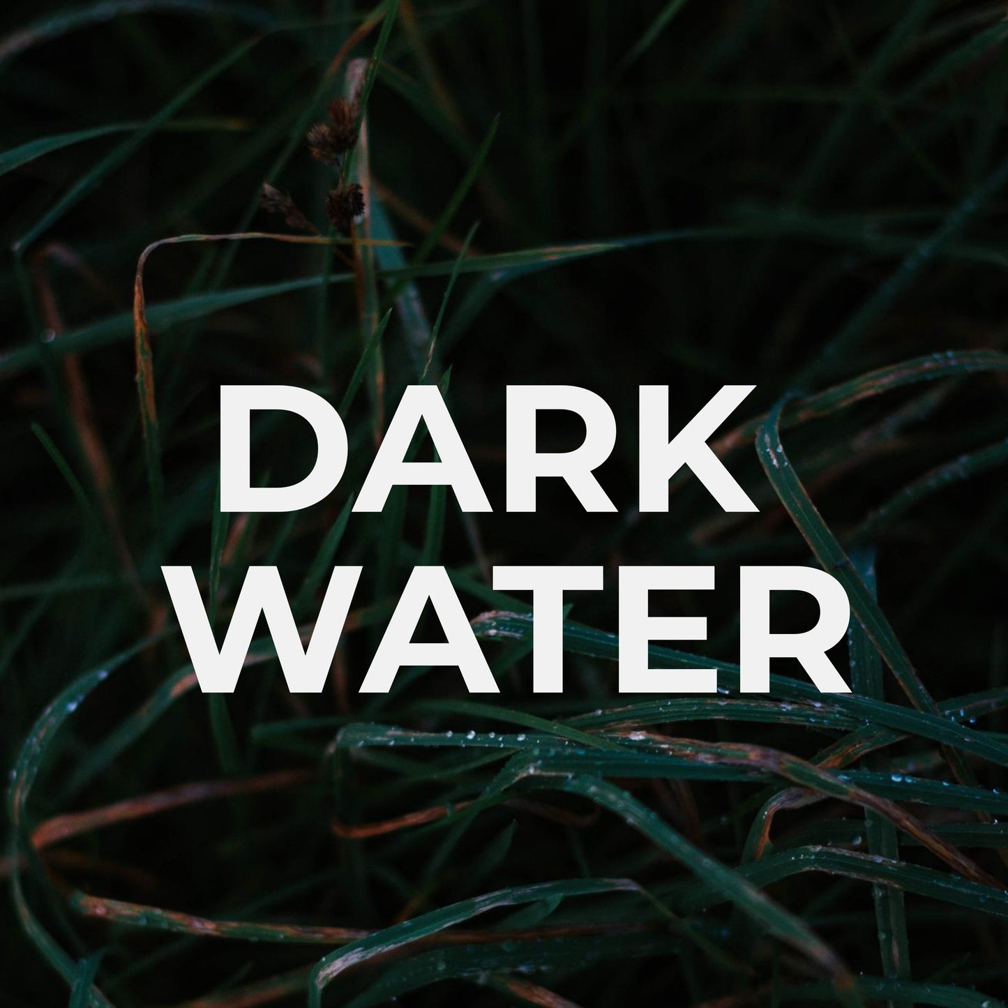 Agua oscura
