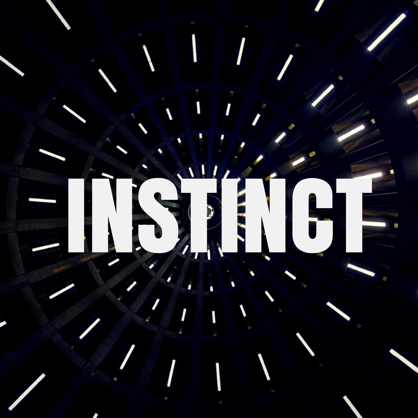 Instinct